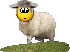 :lambsey: